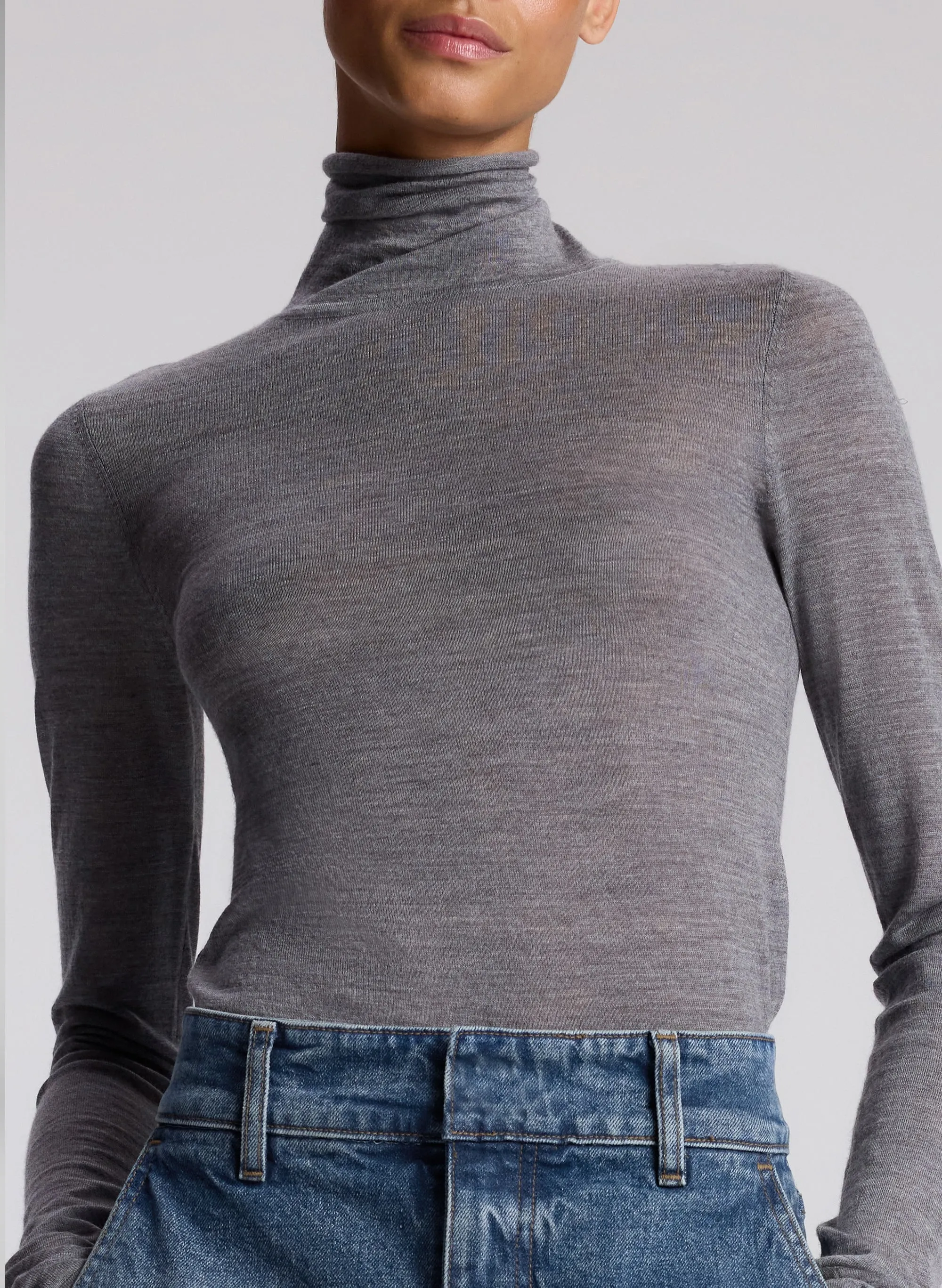 Hayes Fine Merino Turtleneck Top